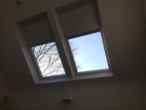 IMG_1111