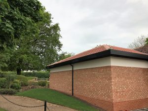 IMG_0845